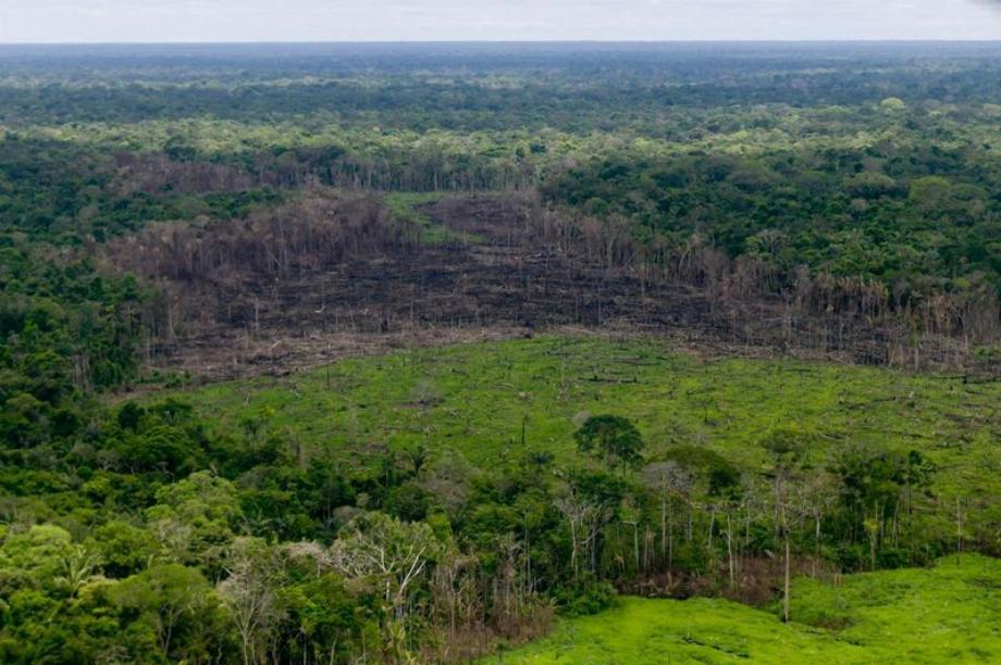 Photo d'archive. Une zone boisée avec déforestation est vue dans la Serrania del Chiribiquete, Colombie, le 28 avril 2019. Avec l'aimable autorisation de la présidence colombienne/via REUTERS À L'ATTENTION DES ÉDITEURS - CETTE IMAGE A ÉTÉ FOURNIE PAR UN TIERS