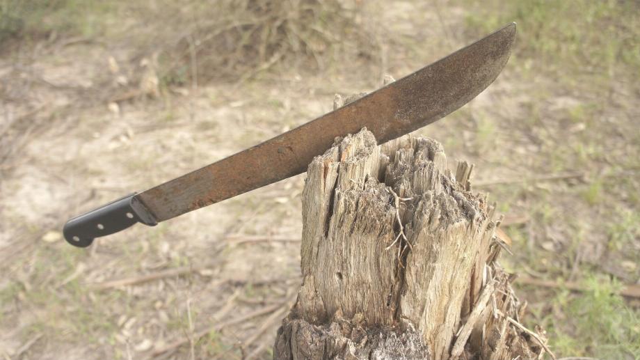 L'enseignante de 48 ans a été transférée à Cali afin que les médecins puissent lui sauver la main après avoir reçu un coup de machette. Photo : Pixabay